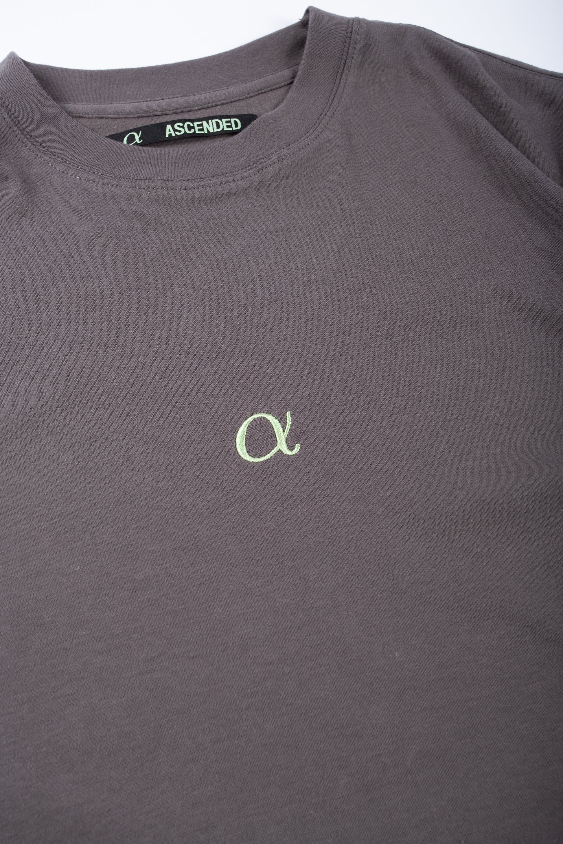 Icon Embroidery Logo T-Shirt